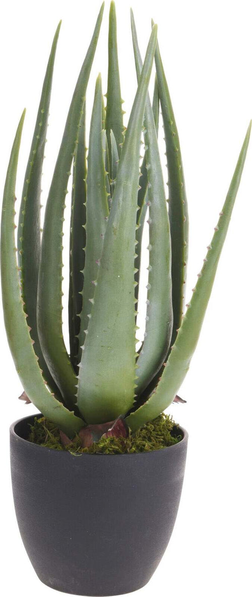 Vaso pianta artificiale Aloe decorativa verde da 45 cm per interno Casa e cucina/Decorazioni per interni/Piante e fiori artificiali/Piante artificiali Decor Space - Altamura, Commerciovirtuoso.it