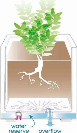 Vaso piante Deroma Cubo Millennium polimero plastico riciclabile 100% antracite 25x25x25 cm Giardino e giardinaggio/Attrezzi da giardino e attrezzature per l'irrigazione/Vasi e accessori per piante/Vasi tradizionali Scontolo.net - Potenza, Commerciovirtuoso.it