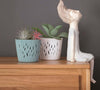 Vaso piante rotondo 2 in 1 con vaso in plasticaProsperplast Sandy 16 C2 Giardino e giardinaggio/Attrezzi da giardino e attrezzature per l'irrigazione/Vasi e accessori per piante/Vasi tradizionali Scontolo.net - Potenza, Commerciovirtuoso.it