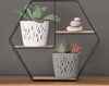 Vaso piante rotondo 2 in 1 con vaso in plasticaProsperplast Sandy 16 C2 Giardino e giardinaggio/Attrezzi da giardino e attrezzature per l'irrigazione/Vasi e accessori per piante/Vasi tradizionali Scontolo.net - Potenza, Commerciovirtuoso.it