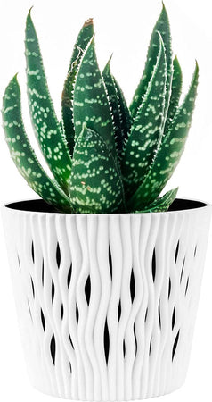 Prosperplast Sandy Round - Vaso da fiori 2 in 1, rotondo, in plastica, 262 mm, colore: antracite Prosperplast Sandy Round - Vaso da fiori 2 in 1, rotondo, in plastica, 262 mm, colore: antracite