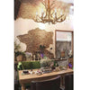 Product Image-3