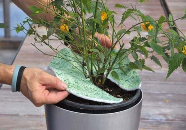 VERDEMAX---2-DISCHI-VERDEMAGIC,-Ø-22CM