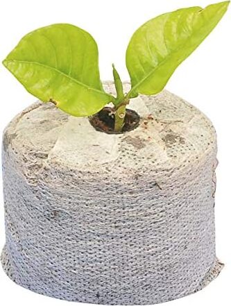 VERDEMAX---Compresse-in-fibra-di-cocco-MM-45XH10