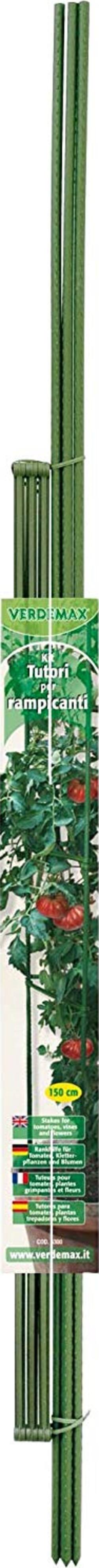 VERDEMAX---KIT-TUTORI-PER-RAMPICANTI