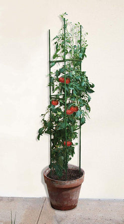 VERDEMAX---KIT-TUTORI-PER-RAMPICANTI