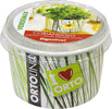 VERDEMAX---ORTOLINO-CORIANDOLO