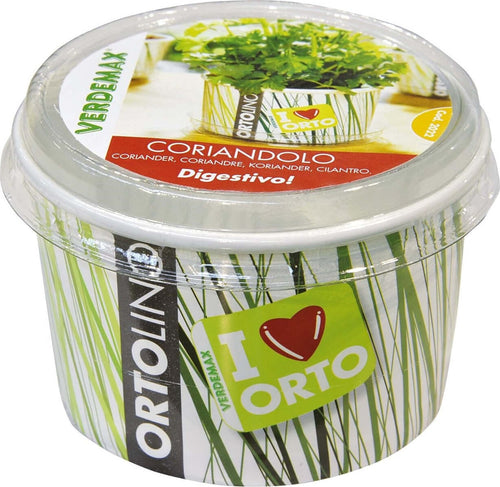 VERDEMAX---ORTOLINO-CORIANDOLO