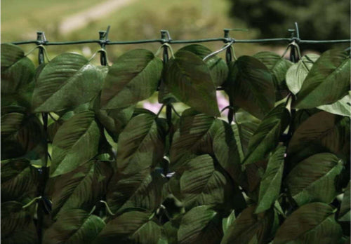 VERDEMAX---SIEPE-A-FOGLIE-TIPO-LAURO-M-1,5X3M