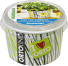 VERDEMAX-2025---KIT-SEMI-E-TERRICCIO-MENTA-PIPERITA