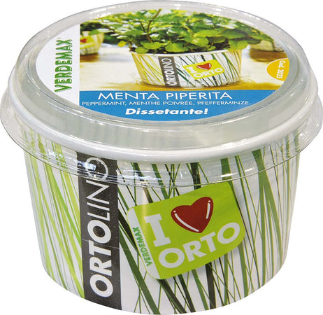 VERDEMAX-2025---KIT-SEMI-E-TERRICCIO-MENTA-PIPERITA