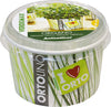 VERDEMAX-2026---KIT-SEMI-E-TERRICCIO-ORIGANO