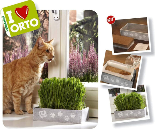 VERDEMAX-2238---KIT-ERBAGATTA