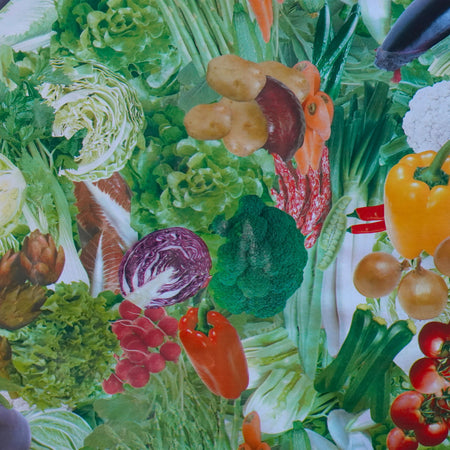 ***MEGA STOCK*** Rotolo da 20 metri (H140cm) di Tovaglia PVC telata cerata Per Casa, Sagre, Pizzerie VERDURE