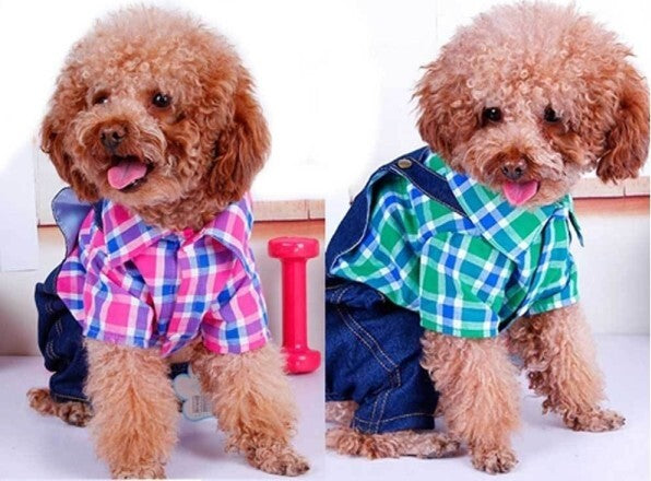 Vestitino Per Cani Abbiagliamento Per Animali Jeans Camicia Fantasia Tg.s/m/l Prodotti per animali domestici/Cani/Abbigliamento e accessori/Costumi Trade Shop italia - Napoli, Commerciovirtuoso.it