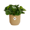 Vaso Vibes Fold Round in plastica riciclata, per esterno, stile moderno