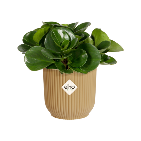 Vaso "Vibes Fold Round" in plastica riciclata, per esterno, stile moderno