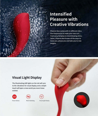 Vibratore Mastrurbatore con controllo Remoto da APP Svakom Phoenix Neo Connexion Series App Controlled Gioco Di Coppia Usb Salute e cura della persona/Erotismo e contraccezione/Sex toys/Vibratori/Vibratori classici Kondorama - Martinsicuro, Commerciovirtuoso.it