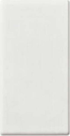 VIMAR---SERIE-PLANA-TASTO-INTERCAMBIABILE-1-MODULO,ILLUMINABILE-AD-ANELLO,-BIANCO