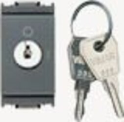 VIMAR-IDEA-INTERRUTTORE-BIPOLARE-16A-250V-CON-CHIAVE-GRIGIO