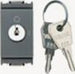 VIMAR-IDEA-INTERRUTTORE-BIPOLARE-16A-250V-CON-CHIAVE-GRIGIO
