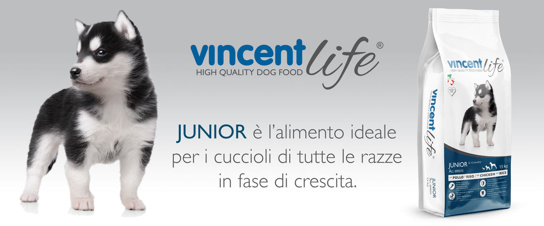Crocchette Vincent Life Junor 15 kg per cuccioli di cane a base di Pollo, verdure e cerali