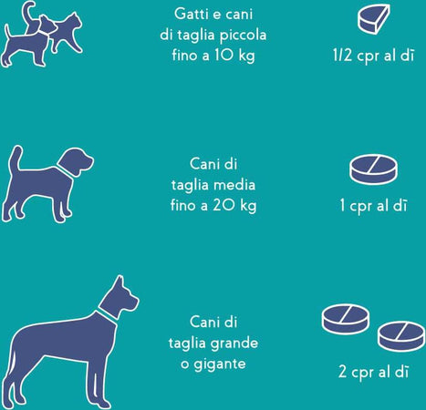 Vitamine Per Cani e Gatti Anziani in compresse Appetibili SUPRAPET Cognitiv Stimolante Contro Stanchezza 30 Compresse - Mangime Complementare Naturale con Vitamina C, Vitamine B, Ginkgo Biloba, Mirtillo, L-triptofano Prodotti per animali domestici/Cani/Accessori per la cura e la salute/Integratori e vitamine/Multivitaminici MyLab Nutrition - Roma, Commerciovirtuoso.it