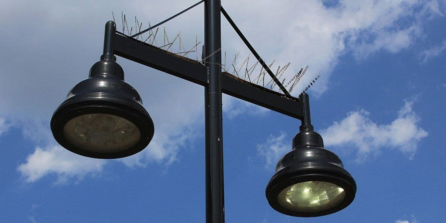 Dissuasore per Piccioni e Uccelli in acciaio inox con base in Policarbonato da muro