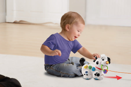 Vtech-Macchia---1,2,3,-Canta-E-Cammina-Con-Me!,-Cagnolino-Giocattolo-Che-Cammina,-Cane-Giocattolo-Con-Guinzaglio,-3-Canzoni-E-20-Melodie,-Lingua-Italiana,-Batterie-Incluse,-12-36-Mesi