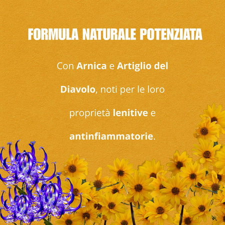 Crema Antidolore Naturale con Arnica Montana e Artiglio del Diavolo – Sollievo per Muscoli, Articolazioni e Dolori Cervicali, Formula Extra Forte Rilassante | AlohaLabs Lievosol Extra Forte 200ml