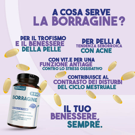 borragine-1