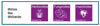 Ugello a ventaglio SF 110° viola