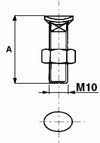 Bullone testa ovale M10x60 con dado