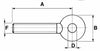 Tirante filettato M16x2 con testa tonda Dx