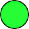 Filo per decespugliatore Evergreen da 15m sezione tonda Ø 1,65mm