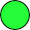 Filo per decespugliatore Evergreen da 15m sezione tonda Ø 2,40mm