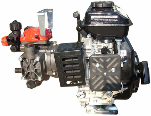 Motopompa a 2 membrane AR252 con motore 4 tempi