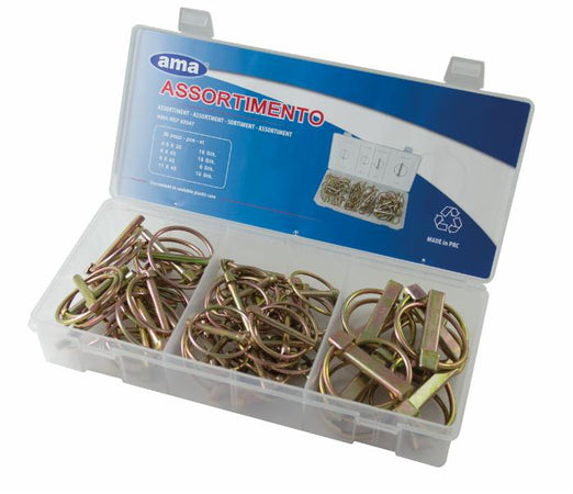 Assortimento 50 spine a scatto