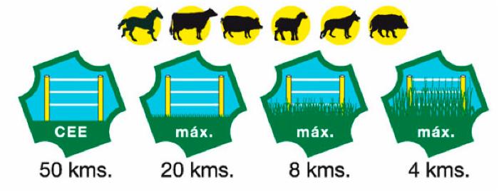 Elettrificatore BT300 con alimentazione 12/230V
