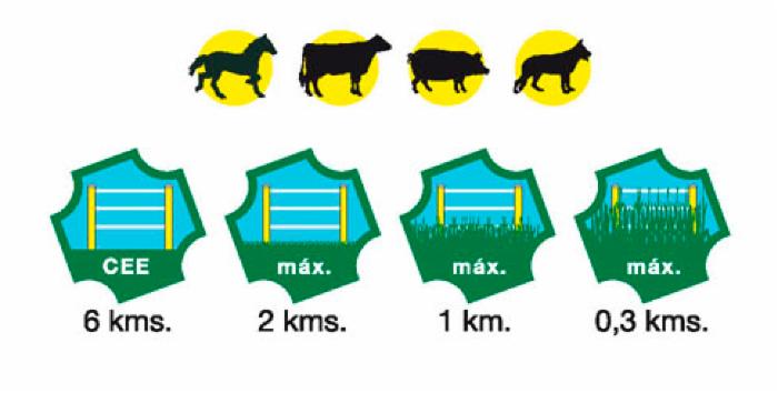 Elettrificatore Ranch Ama S250 a pannello solare
