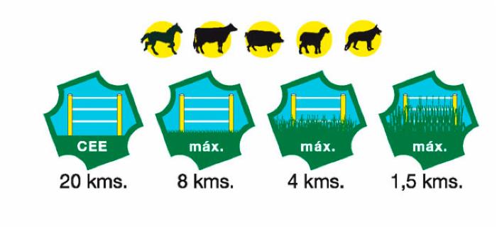 Elettrificatore Ranch Ama S750 a batteria con alimentazione a pannello solare 10W