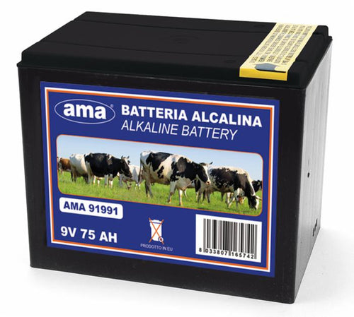 Pila alkalina 9V 175Ah