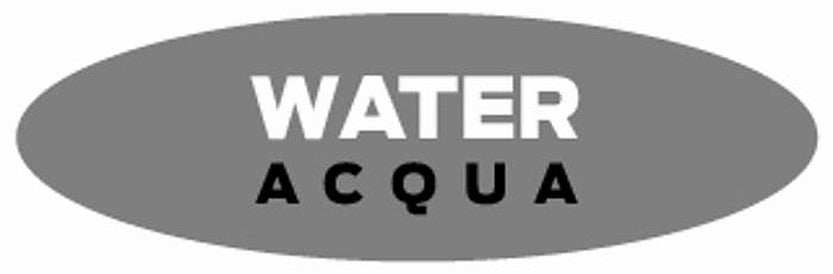 Pompa travaso rotativa