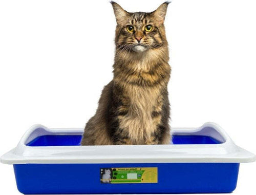 Welkhome-Lettiera-Con-Bordo-Rialzato-Smontabile-Per-Gatti-Gatto-35-X-45-X-10-Cm