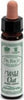 WILD-OAT-n°-36-integratore-alimentare-10-ml-Santiveri-Ibersan