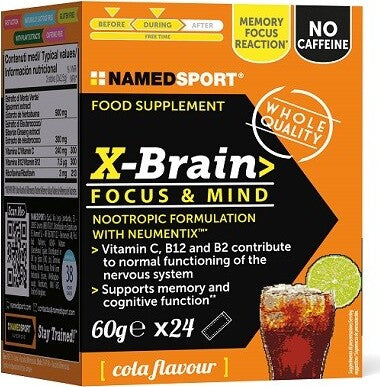 X-BRAIN-24-STICK