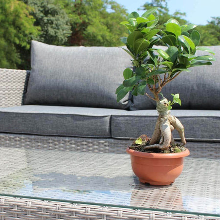 XENO---salotto-da-giardino-completo-di-cuscini-intreccio-in-rattan-sintetico-Grigio-Milani-Home