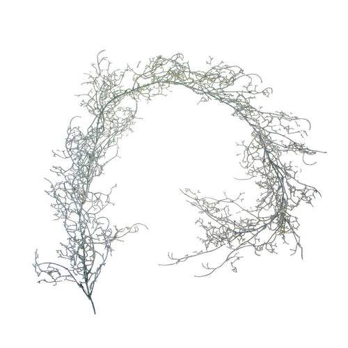 Ghirlanda Tillandsia con Glitter corona natalizia, dietro porta da 170 cm