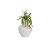 Vaso Schonherr Wedding Love is Life  Porcellana