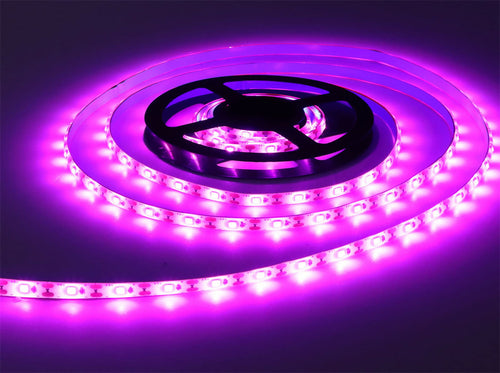 bobina led rosa